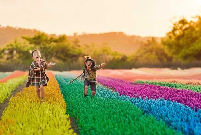 儿歌扁担；儿歌扁担扁担哟是什么歌