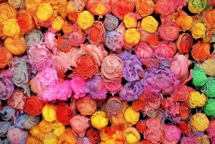 儿童故事照相馆（幼儿园照相馆课程故事）