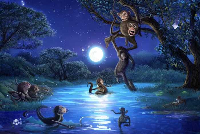 儿童故事图册猴子捞月 - 猴子捞月绘本故事8张带图片