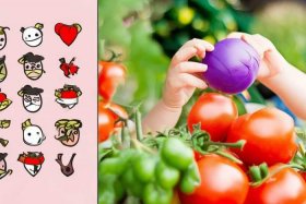 儿童吃茄子的好处和坏处，儿童吃茄子的好处和坏处图片