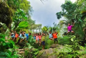 jumping儿歌 儿歌jump in the jungle