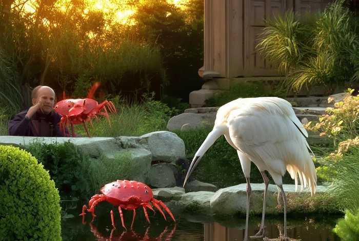 儿童睡前故事螃蟹与白鹤；睡前故事白鹤和螃蟹