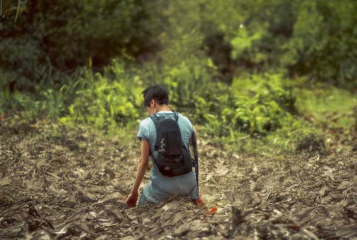 儿童睡前故事宝莲灯（宝莲灯睡前故事在线试听）