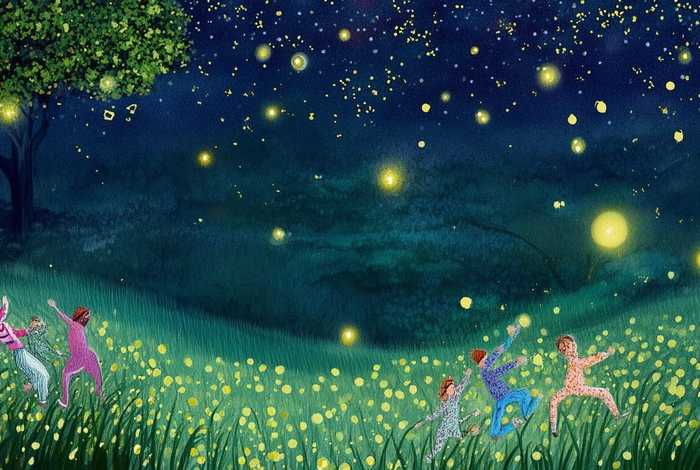 儿童故事萤火虫和小星星、萤火虫和小星星的幼儿故事教案