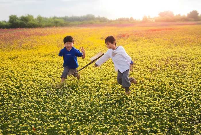儿歌扁担；儿歌扁担扁担哟是什么歌
