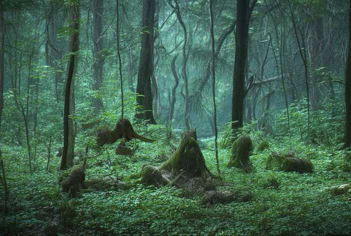 儿童睡前故事蜗牛爬树 - 小蜗牛爬树故事