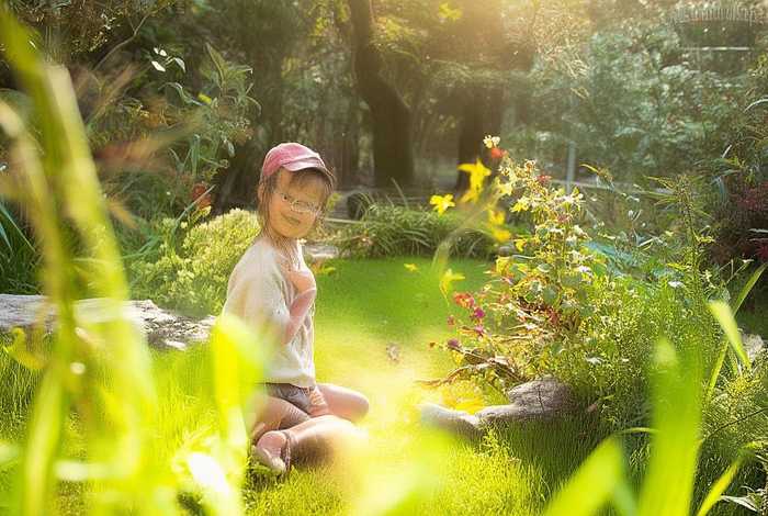 儿童版孔雀的故事，关于孔雀的幼儿小故事