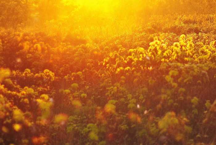 儿童故事小医生的急救之旅;幼儿园小医生的故事视频 儿童故事小医生的急救之旅;幼儿园小医生的故事视频