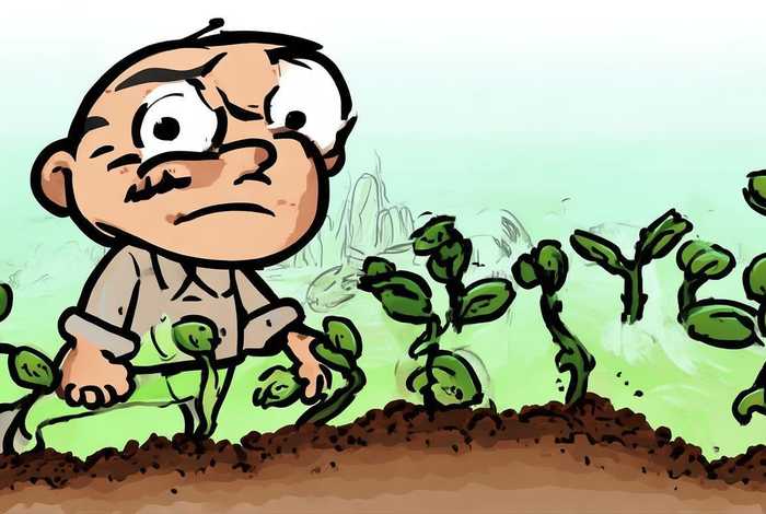 成语故事拔苗助长视频 - 成语故事拔苗助长视频教学 成语故事拔苗助长视频 - 成语故事拔苗助长视频教学