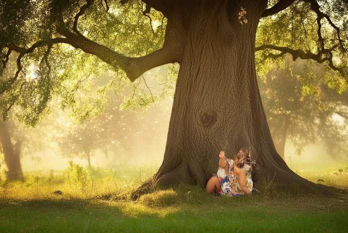 大树的儿童故事（关于大树的幼儿绘本故事）