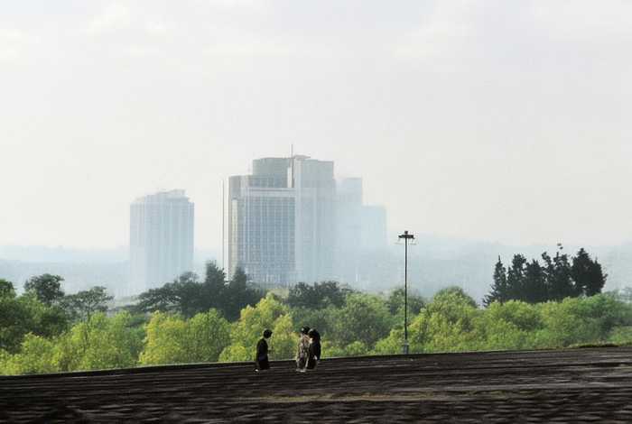 岸边的柳树儿童故事 - 岸边的柳树像什么排比句 岸边的柳树儿童故事 - 岸边的柳树像什么排比句