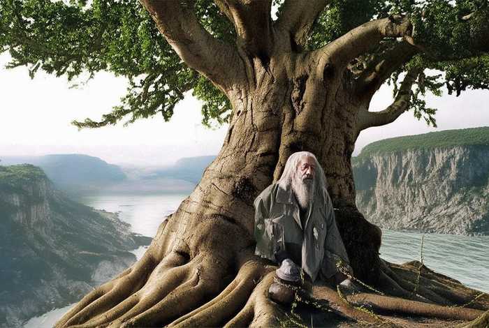 吃一堑长一智的近义词；吃一堑长一智的近义词是什么