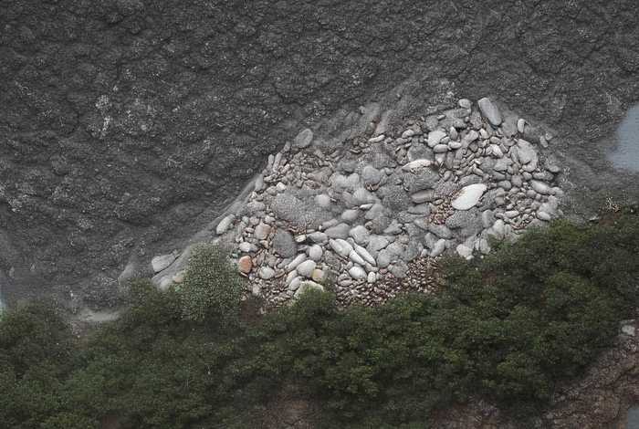 大肚子河马的故事、大肚子河马的故事内容简短写五十字