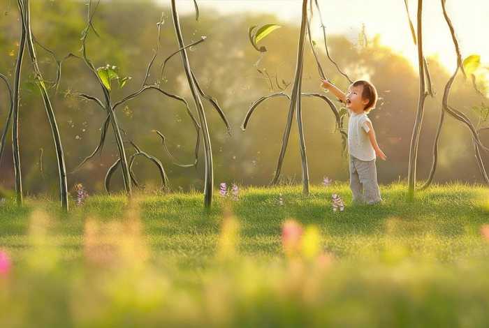 儿童讲述柳树，儿童讲述柳树的电影