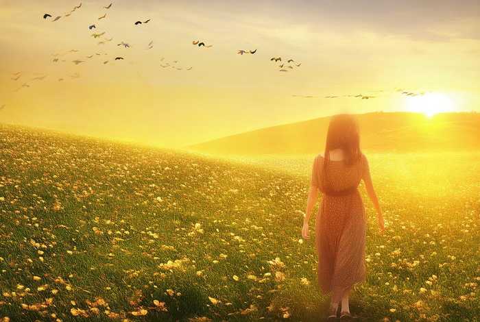 大地春晖 下一句 是什么歌词，大地春晖 下一句 是什么歌词啊