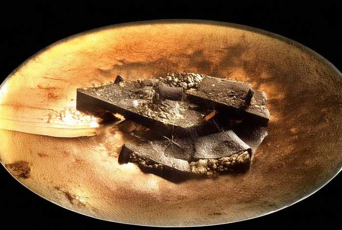 刺球儿故事明白了什么道理；刺球儿故事明白了什么道理20字