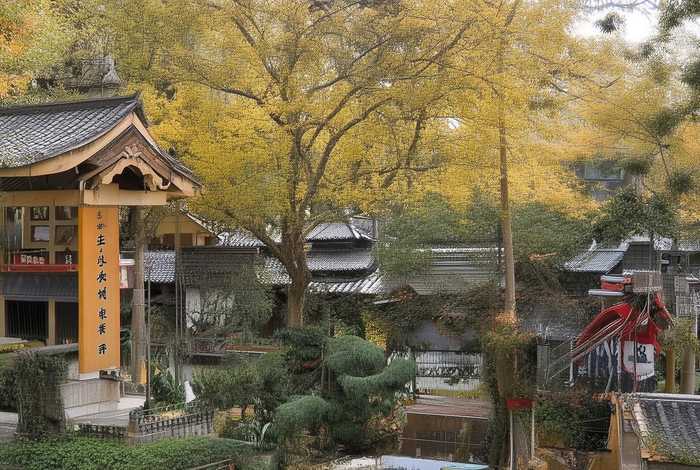 吹笛人的故事寓意主要内容 吹笛人的故事寓意主要内容50字