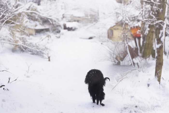 刺球儿故事明白了什么道理；刺球儿故事明白了什么道理20字