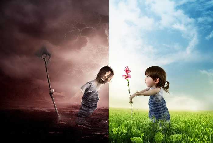 报仇孩子与报恩孩子 - 报仇孩子与报恩孩子的区别