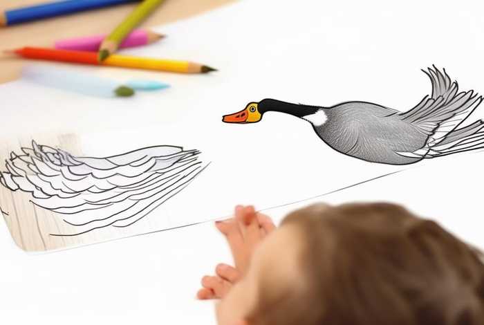 大雁简笔画三步儿童（大雁简笔画三步 儿童）