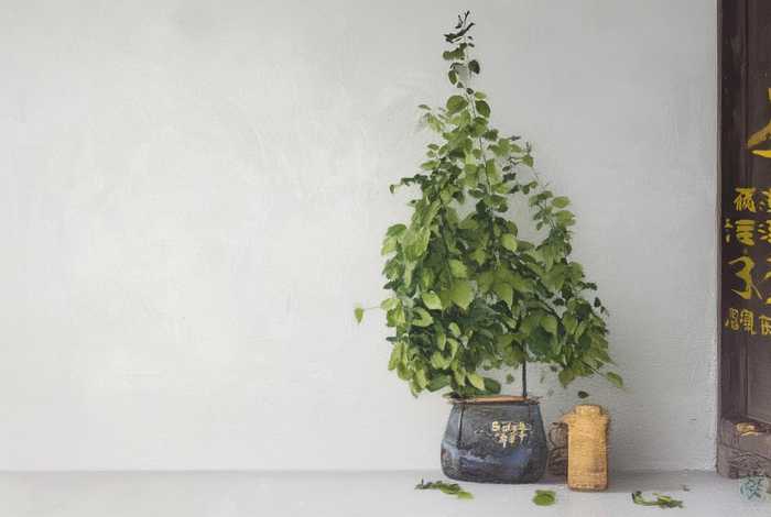 儿童魔幻童话故事（魔幻故事 少儿）