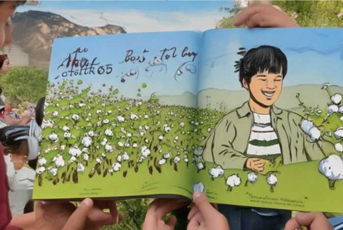 播放棉花的故事，播放棉花的故事有哪些