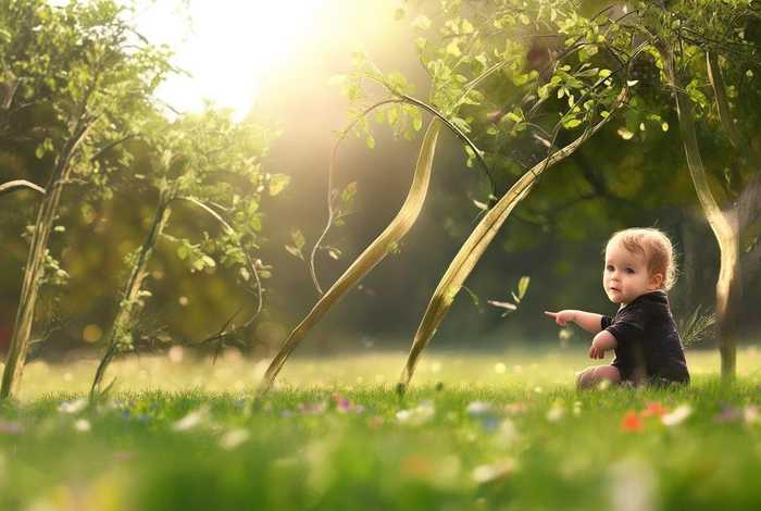 儿童讲述柳树，儿童讲述柳树的电影