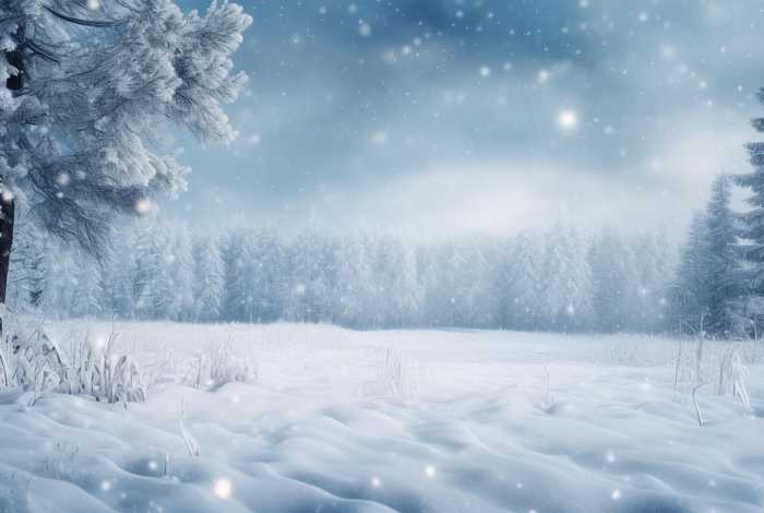 冰雪有关成语（积累有关冰雪的成语）