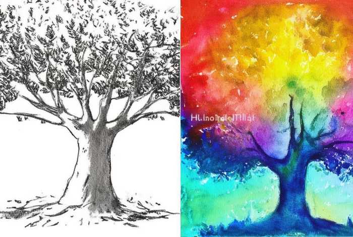 儿童铅笔画和彩色画区别 儿童铅笔画和彩色画区别在哪