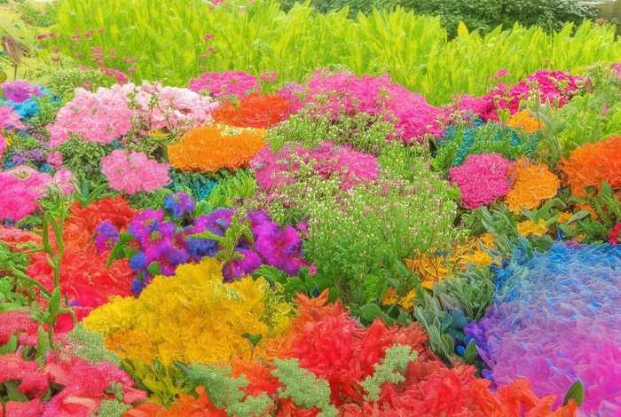 巴巴爸爸巴巴妈妈的故事（巴巴爸爸和爸爸妈妈的故事）