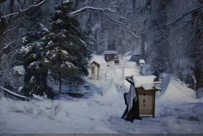 抱柱之信的典故，抱柱之信的典故有哪些