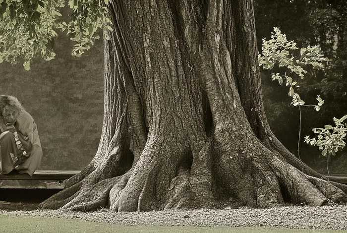 吃一堑长一智的意思 - 吃一堑长一智的意思解释