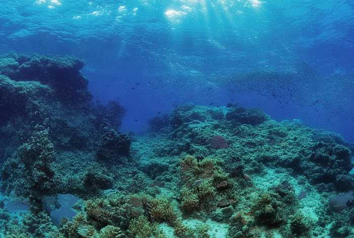 报恩 故事，蛟龙报恩故事