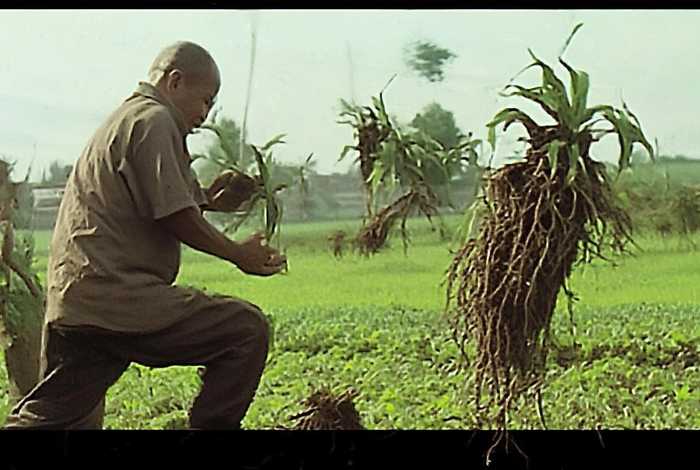 成语故事拔苗助长内容 成语故事拔苗助长内容概括