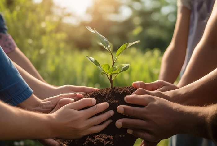 包容小故事20字 - 包容小故事20字左右