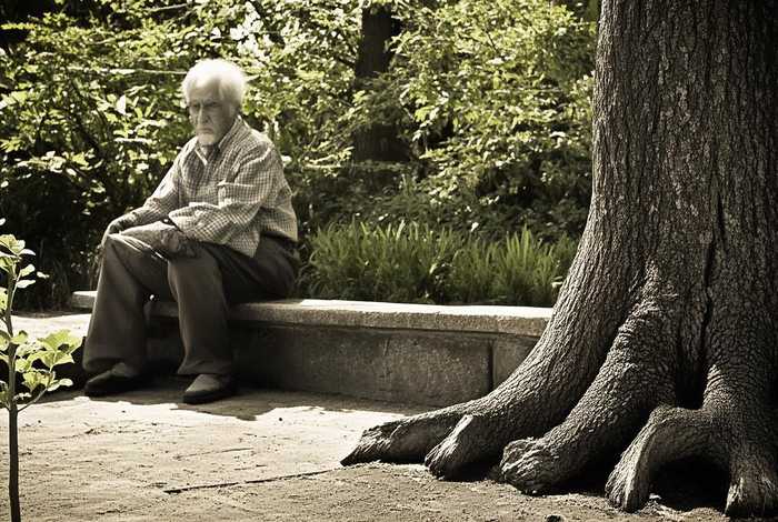 吃一堑长一智的意思 - 吃一堑长一智的意思解释