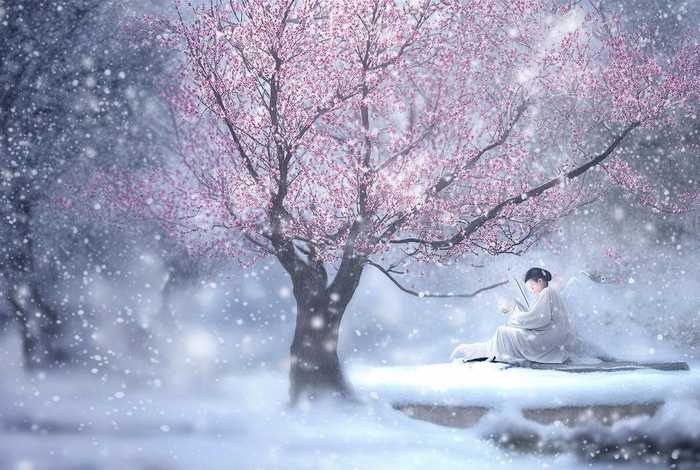 播放梅花故事（播放梅花故事的音乐）