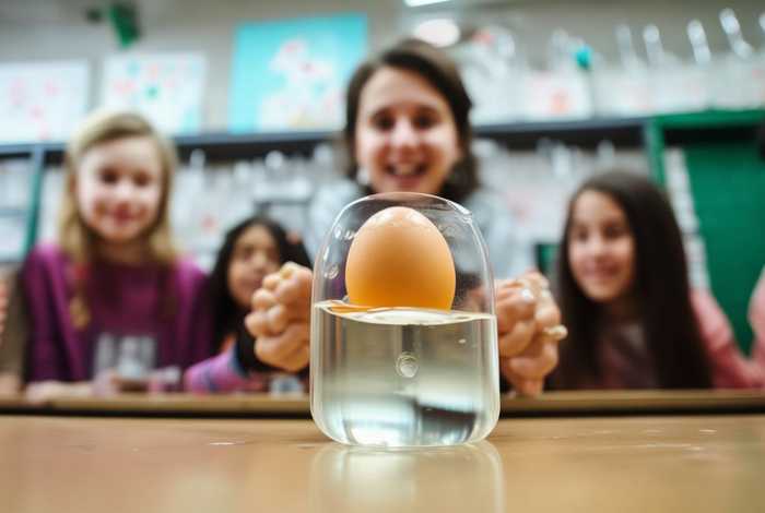 弹力蛋小实验作文,弹力鸡蛋小实验作文300字 弹力蛋小实验作文,弹力鸡蛋小实验作文300字