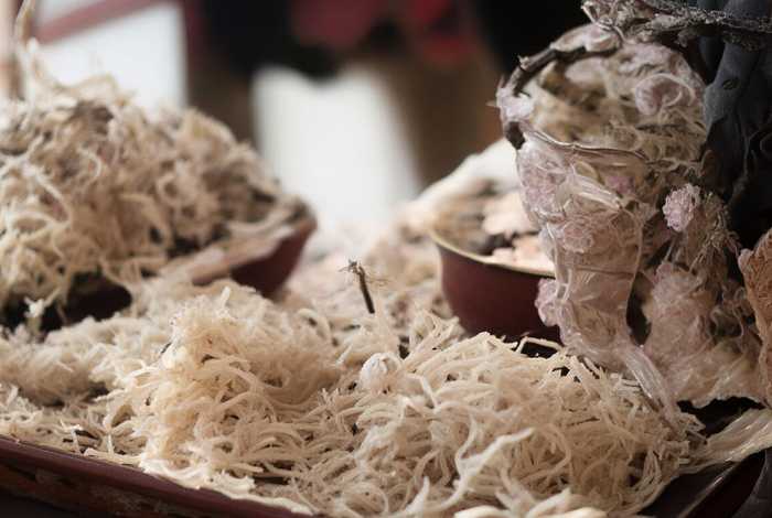 成人讲儿童故事（适合给成人讲的故事）