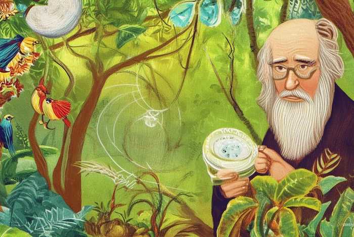 达尔文故事趣事 - 达尔文故事趣事有哪些