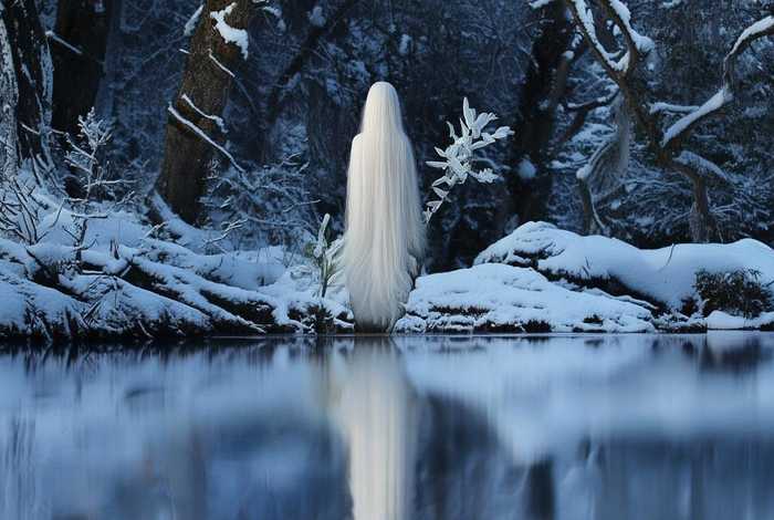 白色的故事 - 白色的故事是什么述说的故事