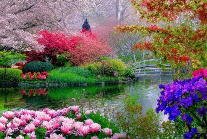 春花故事全集 春花故事全集在线观看