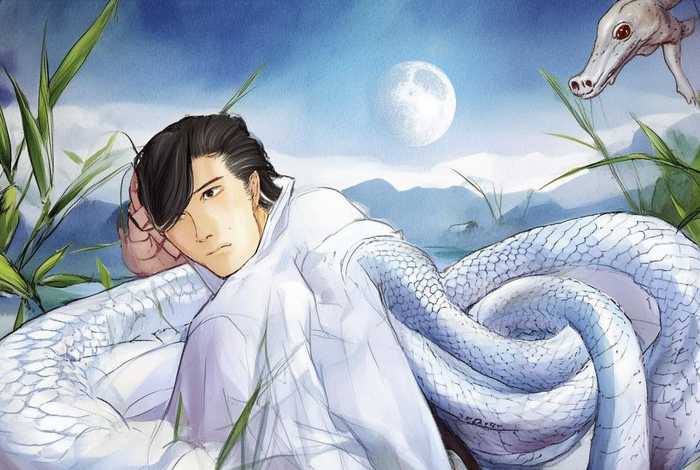 白蛇传 绘本 - 白蛇传 绘本手画图片