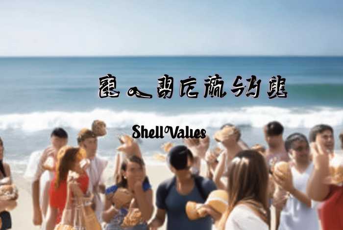 贝壳价值观案例内容（贝壳价值观经典案例）