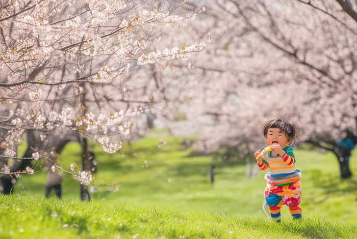 春天的故事儿童独唱（春天的故事歌曲教唱）