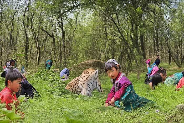调虎离山四川儿童出版社、调虎离山的出版年份