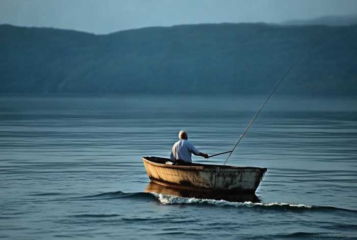 钓鱼的小故事 钓鱼的小故事简短