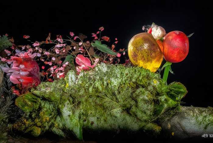 笨狼的故事上学主要内容（笨狼的故事上学主要内容50字）