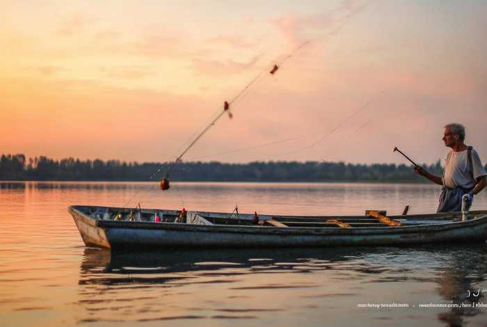 钓鱼小故事大道理 - 钓鱼小故事大道理怎么写