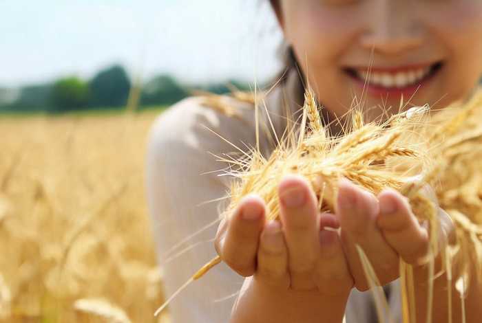 爱惜粮食的文字 - 爱惜粮食的文字怎么写